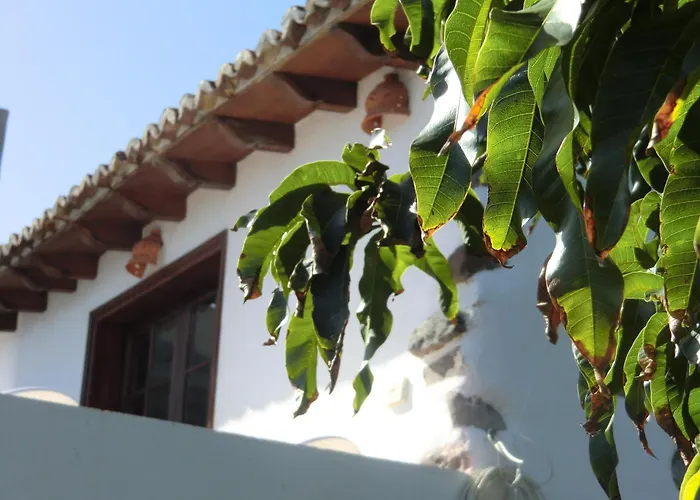 Villa Delfines